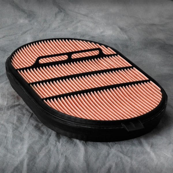 Donaldson Air Filter, Safety Obround, P607557 P607557 - main